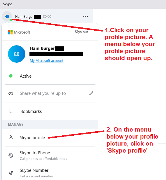 skype account names