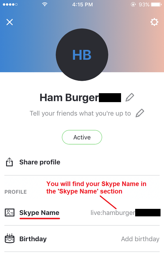 gay skype username gay skype username